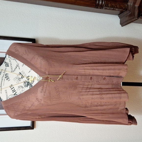 Express Pleated Dress Shirt Sz.L Brown Sheer Vneck Ballon Sleeves - Picture 3 of 14